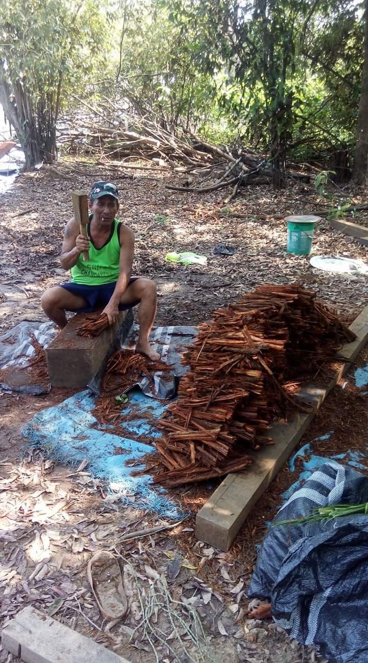 Cortando Liana de Ayahuasca