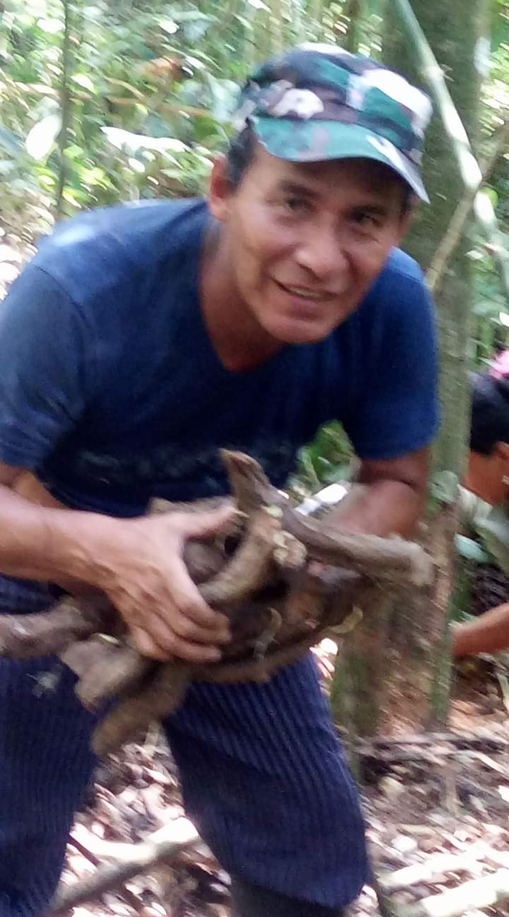 Sembrando semillas de Ayahuasca